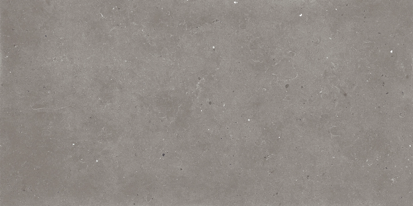 Graniti Fiandre Fjord Grey Fjord naturalna R10 30x60 cm gr. 8 mm